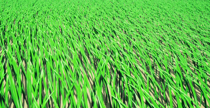 Grass_PCG.gif Grass_PCG.gif